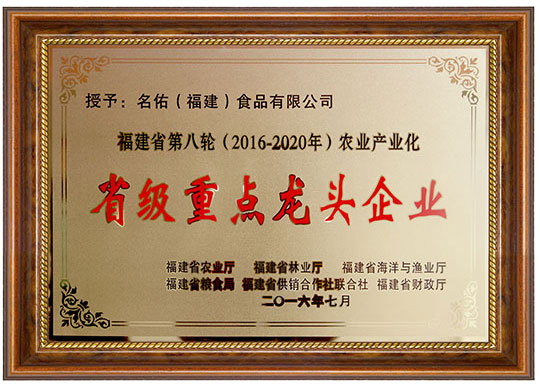 2016省級重點龍頭企業(yè)